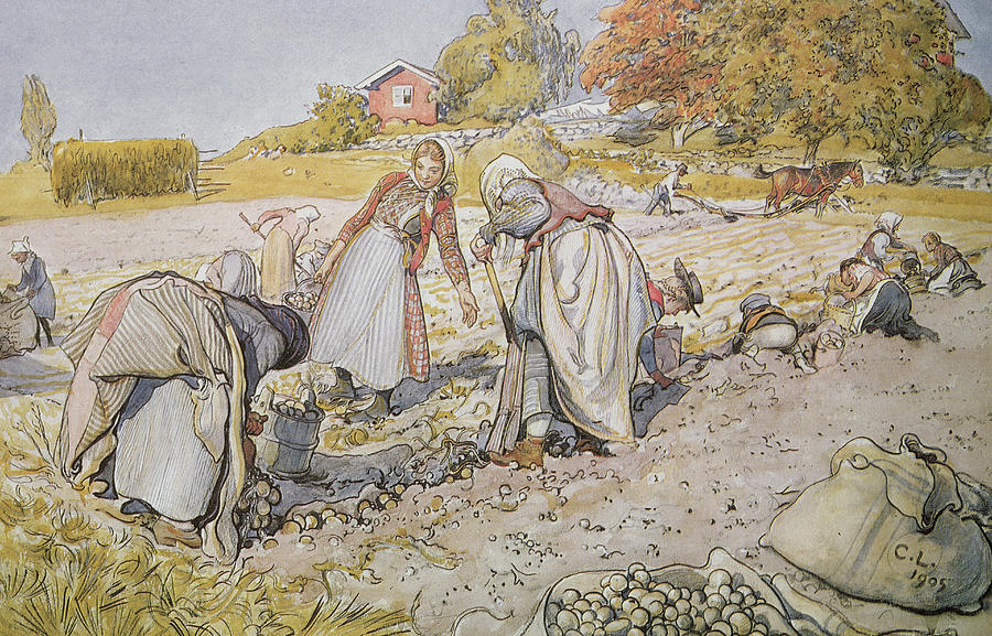 Carl Larsson (1853 - 1919)
