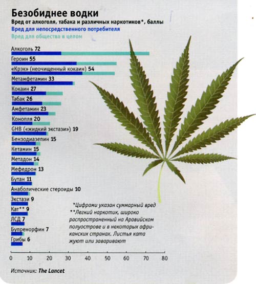 Марихуана в списке зависимости марихуану можно будет выращивать в украине
